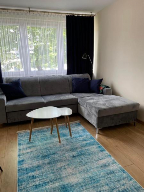 Apartament Mickiewicza 11